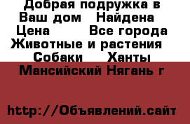 Добрая подружка,в Ваш дом!!!Найдена › Цена ­ 10 - Все города Животные и растения » Собаки   . Ханты-Мансийский,Нягань г.